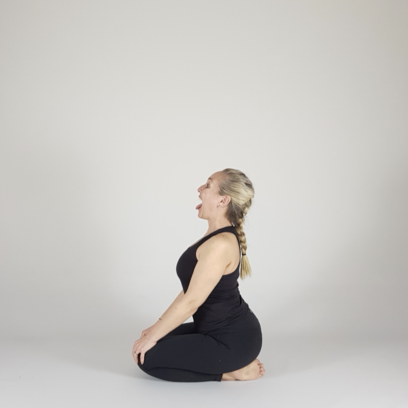 Seated Arm Stretch