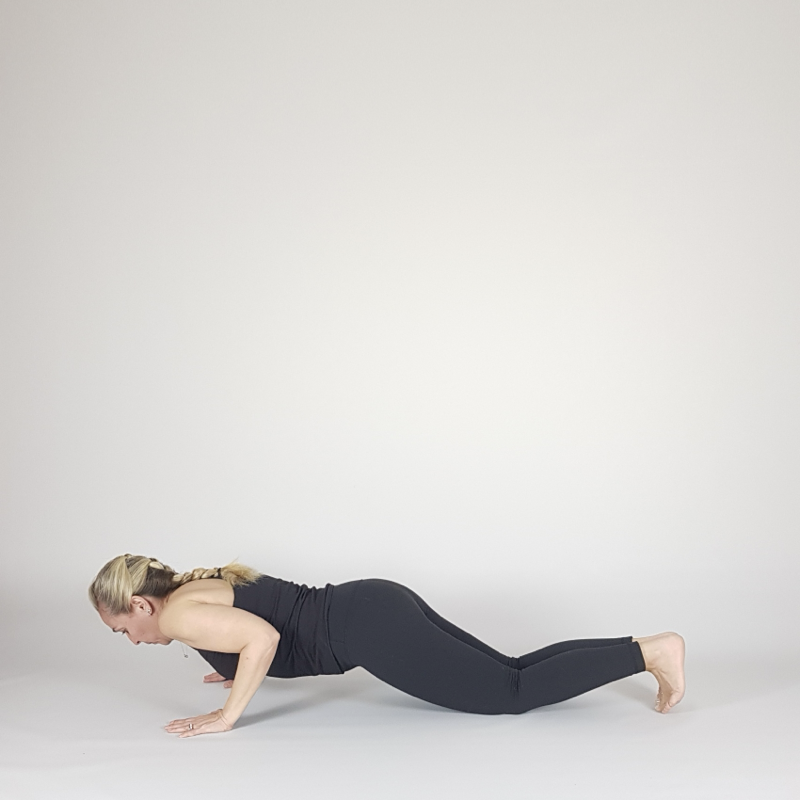 Low Chaturanga