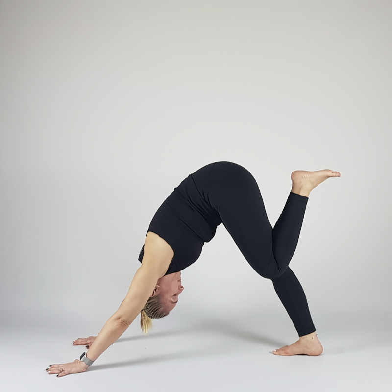 Three-Legged Downward Dog