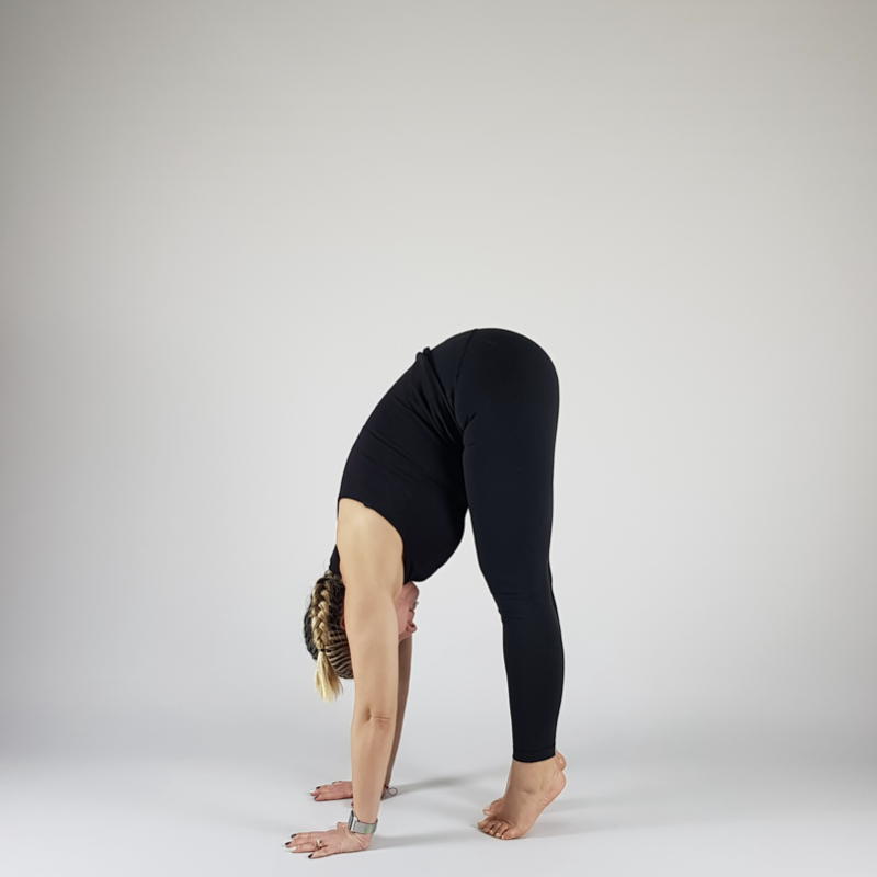 Intense Forward Fold