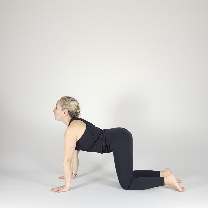 Cow Pose