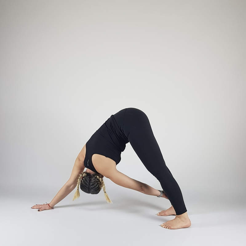 Downward Dog Twist