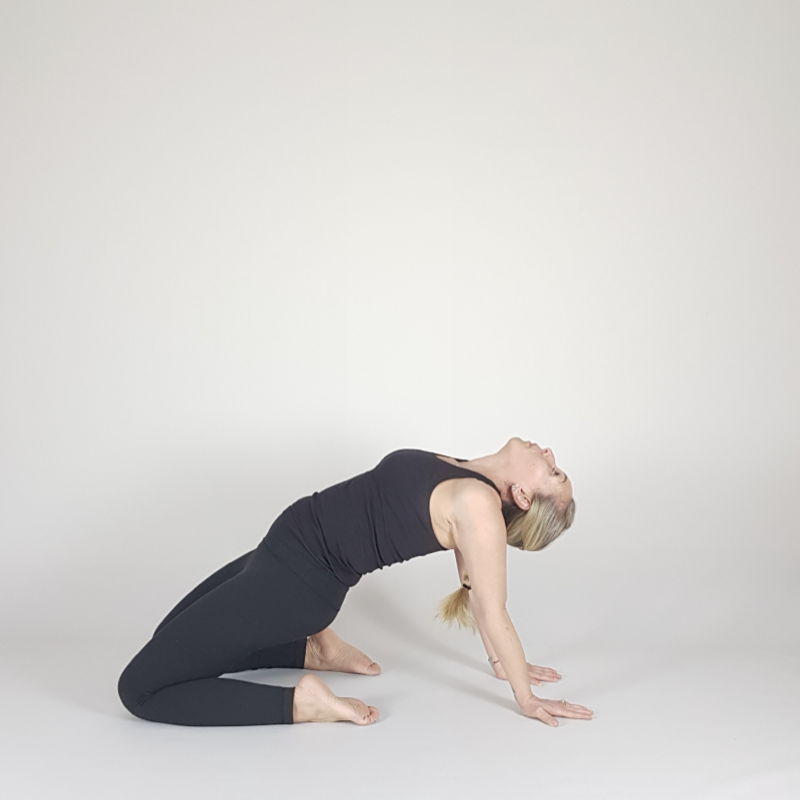 Camel Pose Hands on Floor