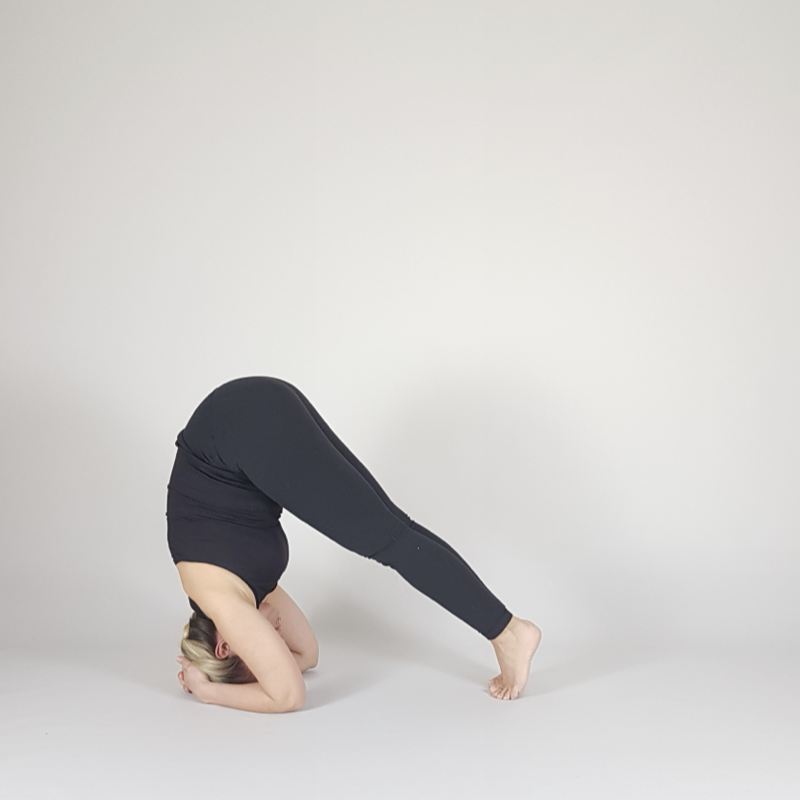 One Leg Dolphin Pose