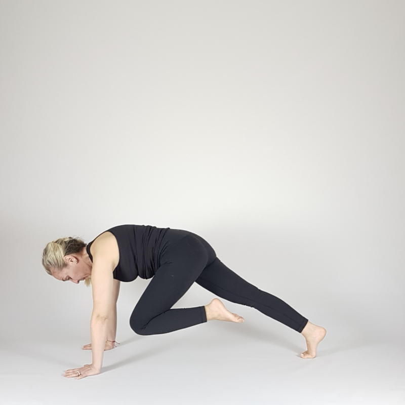 Knee to Chest Plank