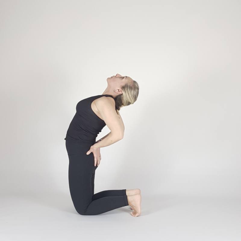 Deep Camel Pose