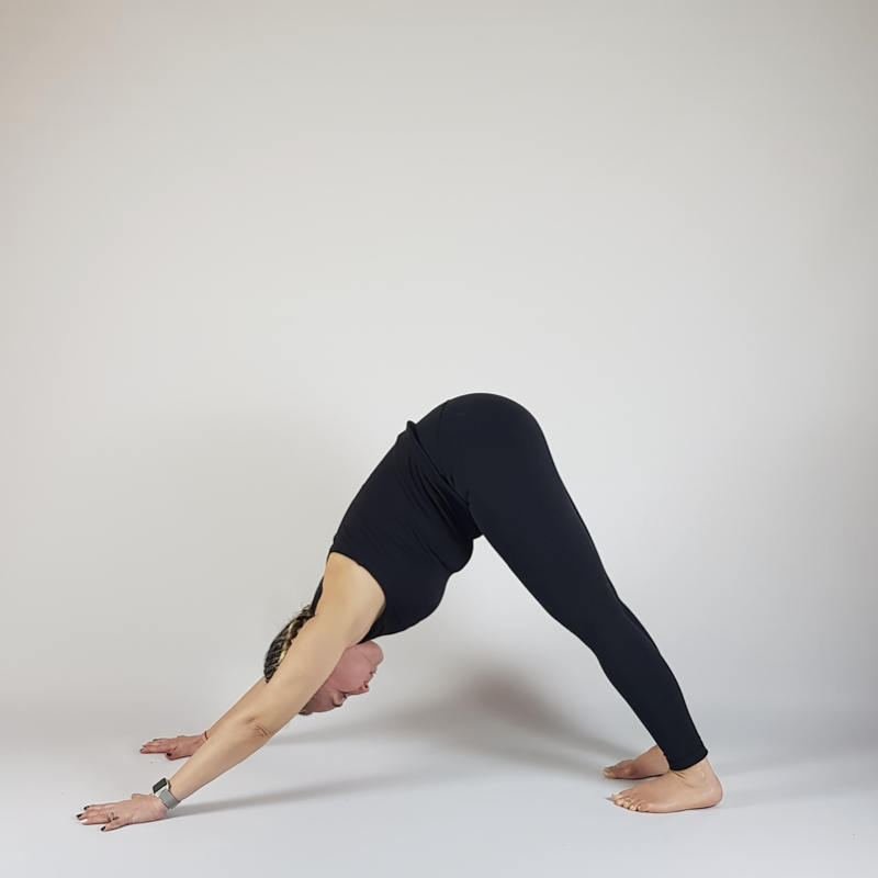 Downward Facing Dog