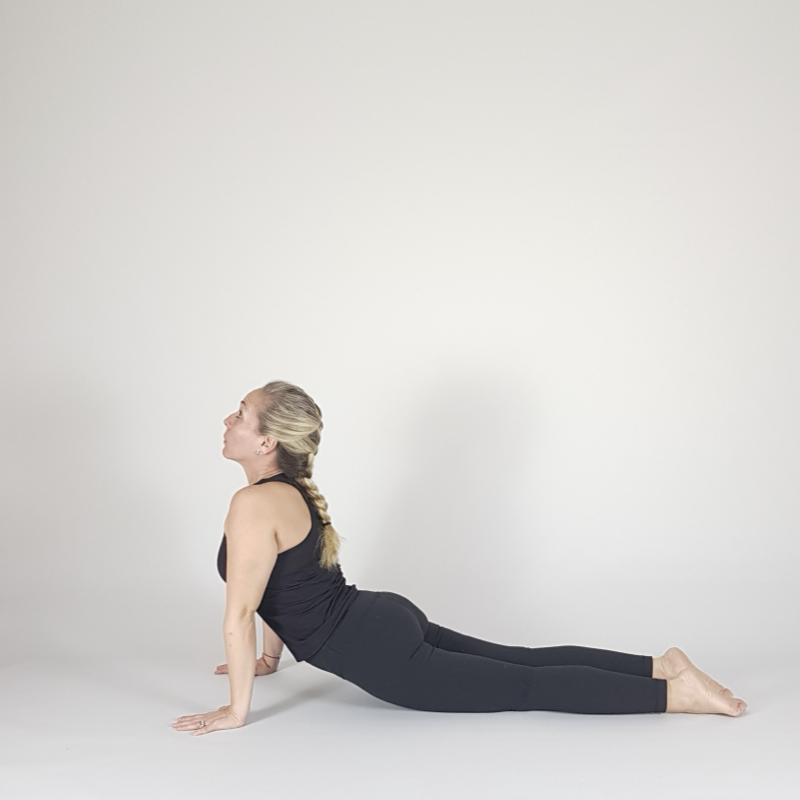 Upward Facing Dog