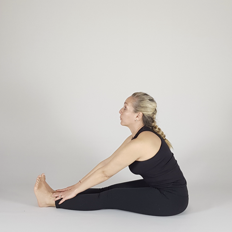 Seated Side Bend Hold