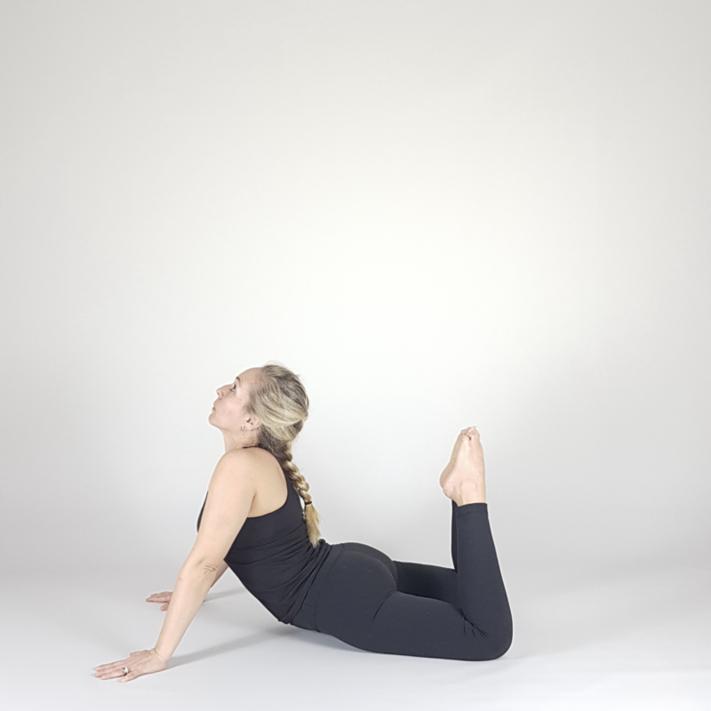 Prone Backbend Prep