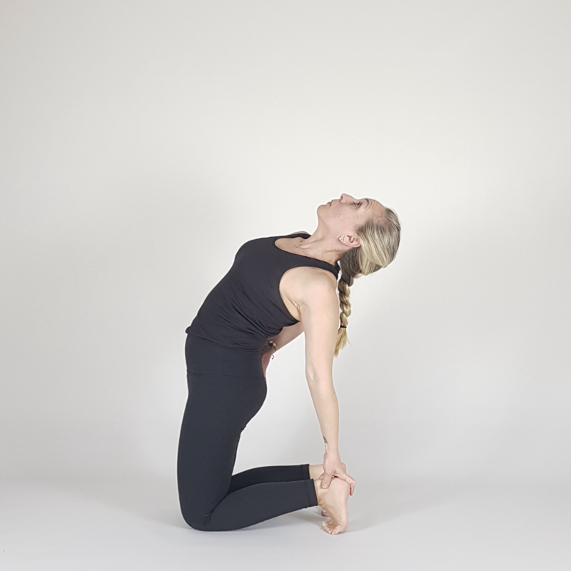 Camel Pose Variation