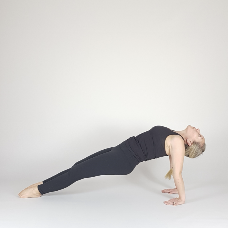 Reverse Plank
