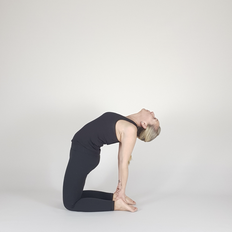 Camel Pose Exit