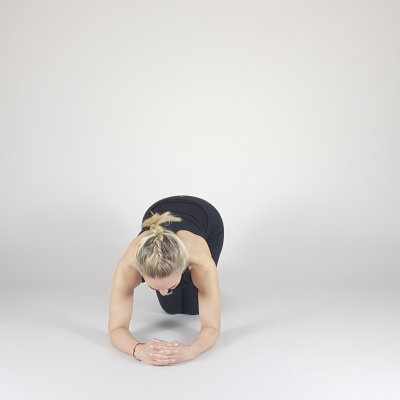 Forearm Plank