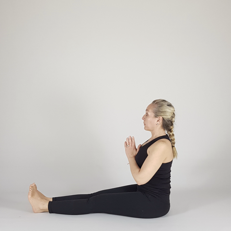 Seated Arm Lift