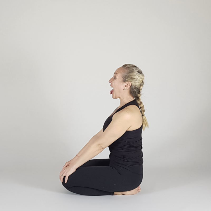 Lion Pose