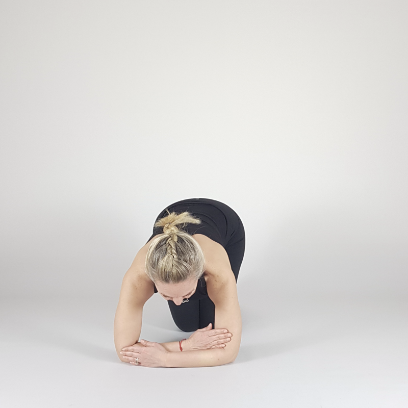 Dolphin Plank