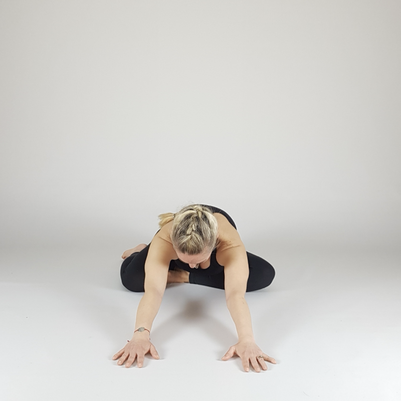 Restorative Seated Fold