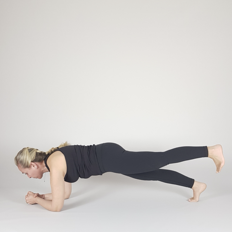 Forearm Plank Leg Lift