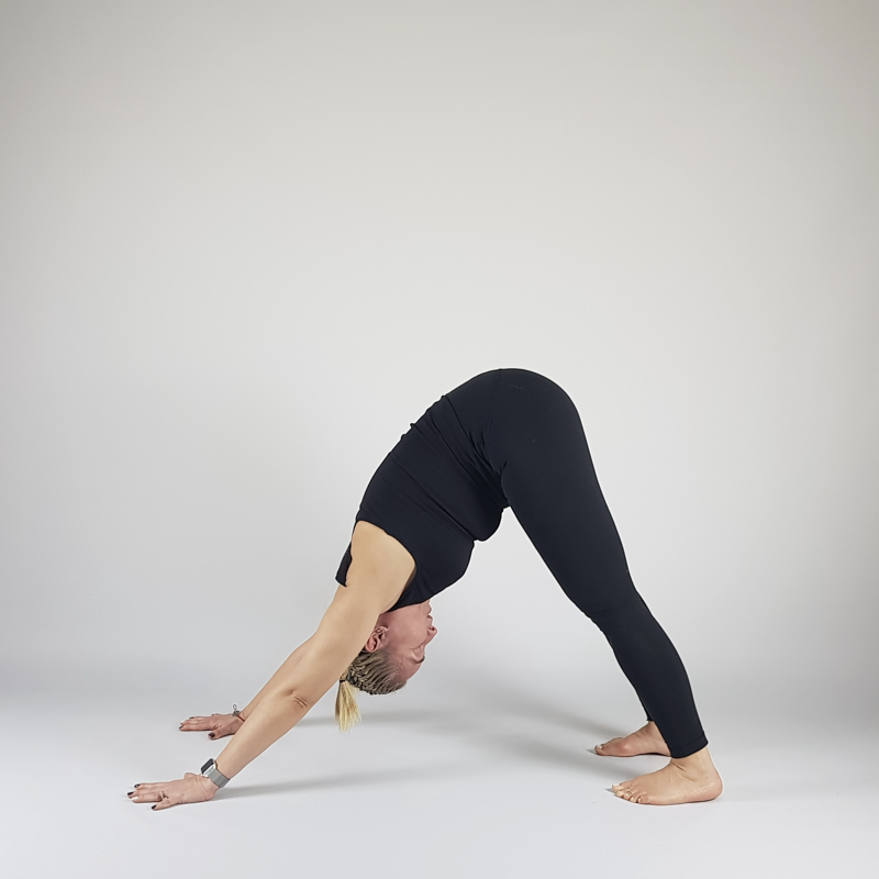 Downward Facing Dog