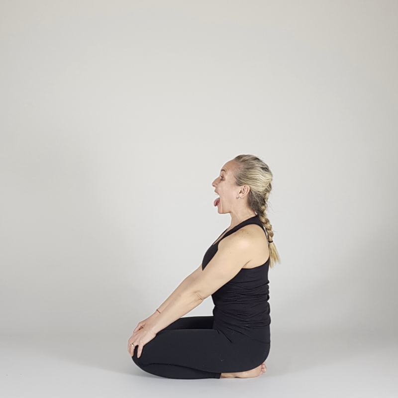 Seated Shoulder Rolls