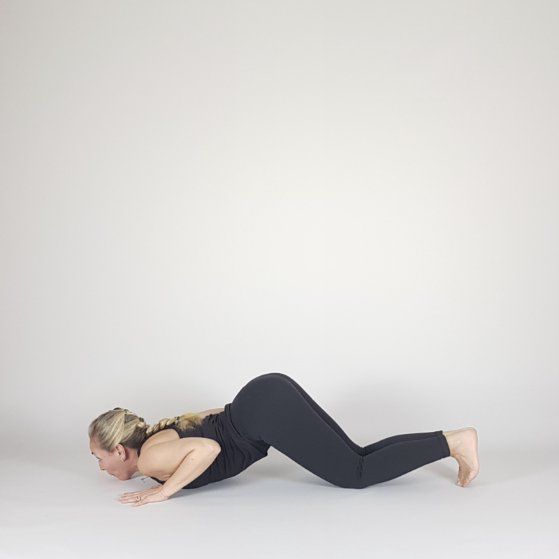 Modified Chaturanga