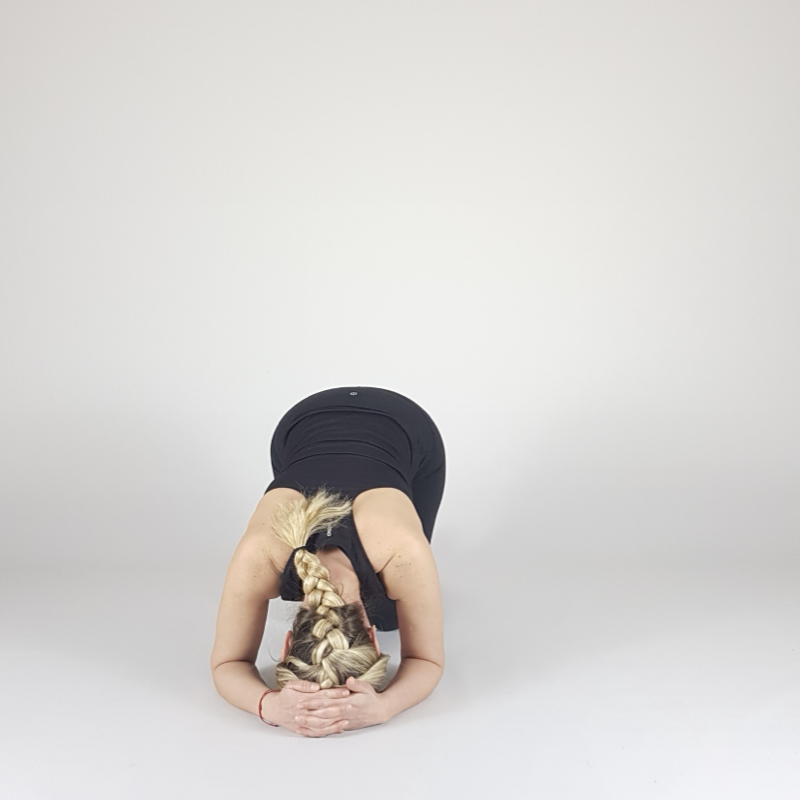 Dolphin Pose
